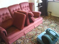 Premier Carpet and upholstery cleaning 352462 Image 1